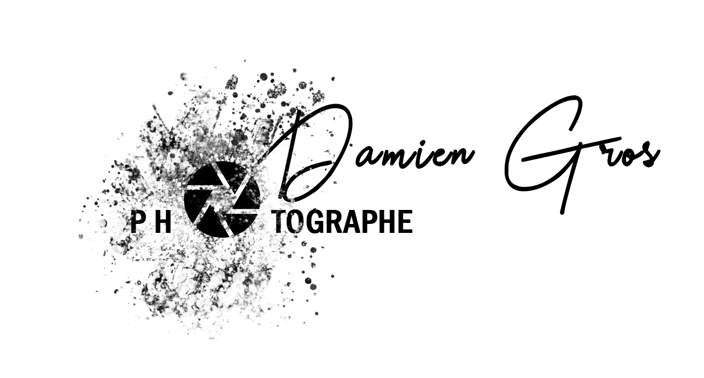 Damien Gros photographe de mariage Jura – accueil